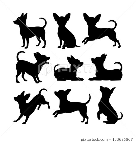 Various silhouettes of Chihuahuas in playful poses, showcasing their lively nature and charm 133685867