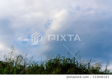 Summer sky: Evening sky, clouds and summer grass silhouettes 07 133686161