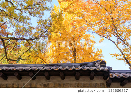 A beautiful view of Ishigaki Street, a popular spot during the autumn foliage season 133686217