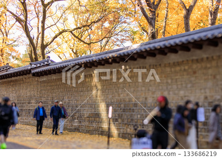 石垣街的美景,是秋季賞楓的熱門景點。 石垣街的美景,是秋季賞楓的熱門景點。 133686219