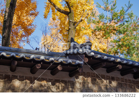 A beautiful view of Ishigaki Street, a popular spot during the autumn foliage season 133686222