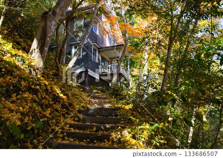 秋季的東鄉公園和秩父禦岳神社，埼玉縣飯能市 133686507
