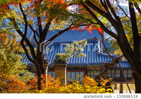 A beautiful view of Ishigaki Street, a popular spot during the autumn foliage season 133686519