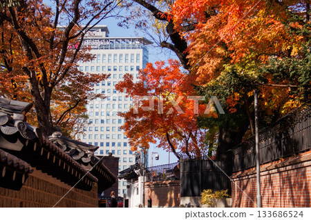 A beautiful view of Ishigaki Street, a popular spot during the autumn foliage season 133686524