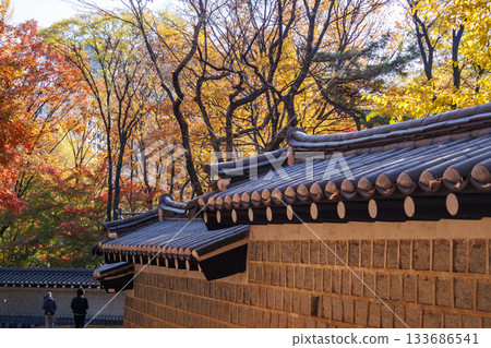 A beautiful view of Ishigaki Street, a popular spot during the autumn foliage season A beautiful view of Ishigaki Street, a popular spot during the autumn foliage season 133686541