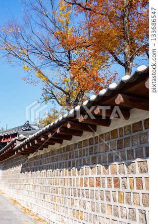 A beautiful view of Ishigaki Street, a popular spot during the autumn foliage season A beautiful view of Ishigaki Street, a popular spot during the autumn foliage season 133686547