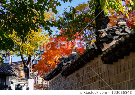 A beautiful view of Ishigaki Street, a popular spot during the autumn foliage season A beautiful view of Ishigaki Street, a popular spot during the autumn foliage season 133686548