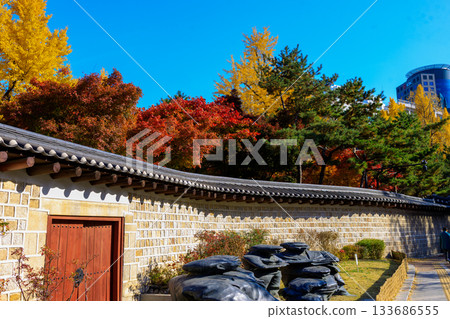 A beautiful view of Ishigaki Street, a popular spot during the autumn foliage season A beautiful view of Ishigaki Street, a popular spot during the autumn foliage season 133686555