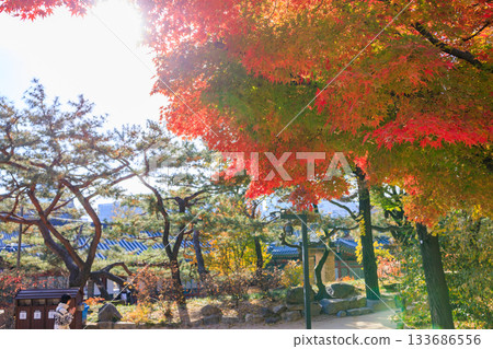 石垣街的美景,是秋季賞楓的熱門景點。 石垣街的美景,是秋季賞楓的熱門景點。 133686556