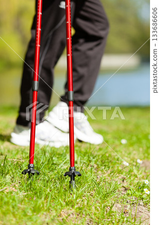Nordic walking. Female legs hiking in the park. Nordic walking. Female legs hiking in the park. 133686606