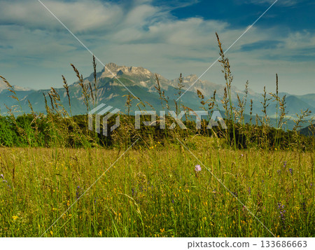 Summer meadow and mountains on horizon. L'Obiou in Alps, France. Summer meadow and mountains on horizon. L'Obiou in Alps, France. 133686663