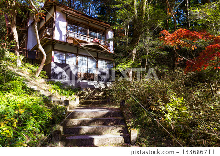 秋季的東鄉公園和秩父禦岳神社,埼玉縣飯能市 秋季的東鄉公園和秩父禦岳神社,埼玉縣飯能市 133686711