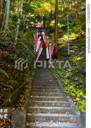 秋季的東鄉公園和秩父禦岳神社,埼玉縣飯能市 秋季的東鄉公園和秩父禦岳神社,埼玉縣飯能市 133686869