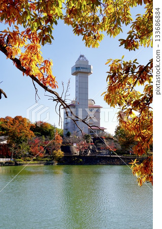 Autumn leaves decorating Skyward Asahi, acorn trees and autumn scenery 133686884