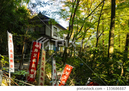 秋季的東鄉公園和秩父禦岳神社，埼玉縣飯能市 133686887