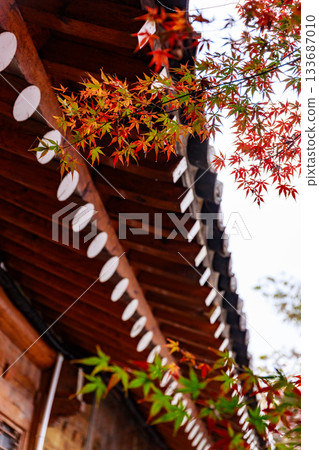 秋日景色，迷人的韓屋風格咖啡館 133687010