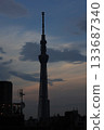 Dawn of the sky tree 133687340