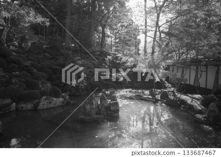 秋野 秋野 133687467