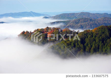 Autumn leaves in the sky 2584 133687575