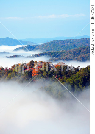 Autumn leaves in the sky 2667 Autumn leaves in the sky 2667 133687581