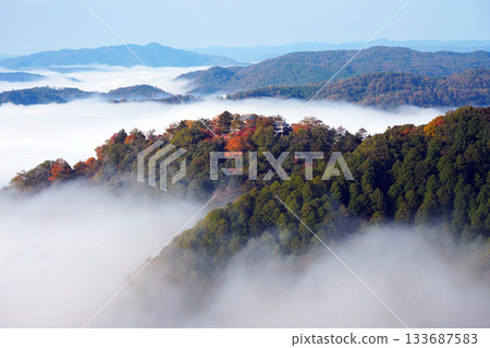Autumn leaves in the sky 2693 133687583