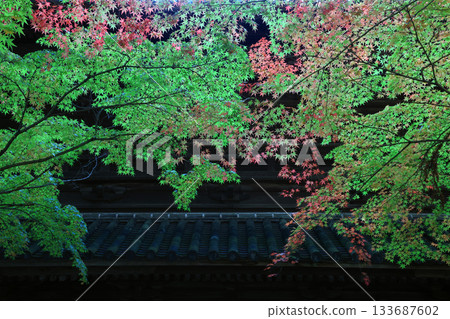 Fresh green 7157 Fresh green 7157 133687602