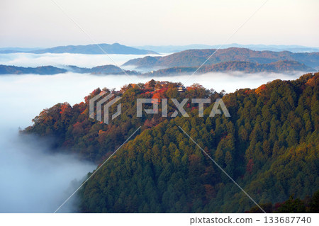 Autumn leaves in the sky at Yamashiro 2320 133687740