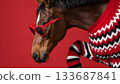 A horse wearing red sunglasses and a festive sweater on a red background 133687841