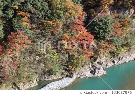 The mountains of Unazuki Onsen dyed in autumn leaves and the cobalt-colored river 133687976