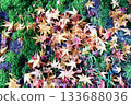 Autumn leaves falling on moss 133688036