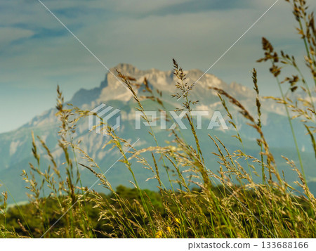 Summer meadow and mountains on horizon. L'Obiou in Alps, France. Summer meadow and mountains on horizon. L'Obiou in Alps, France. 133688166