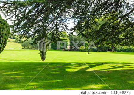 Countryside view of green field. Nature landscape 133688223