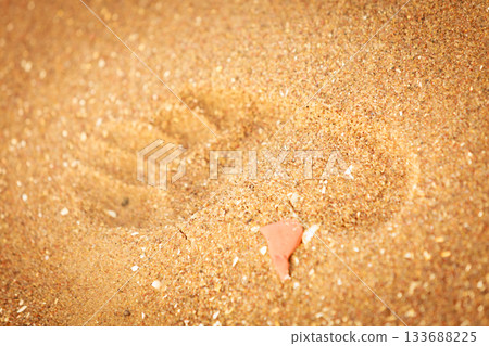 footprint in golden sand on the shore of the sea footprint in golden sand on the shore of the sea 133688225