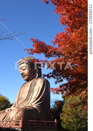 Great Buddha and autumn leaves at Jurakuen Park in Tokai City Great Buddha and autumn leaves at Jurakuen Park in Tokai City 133688311