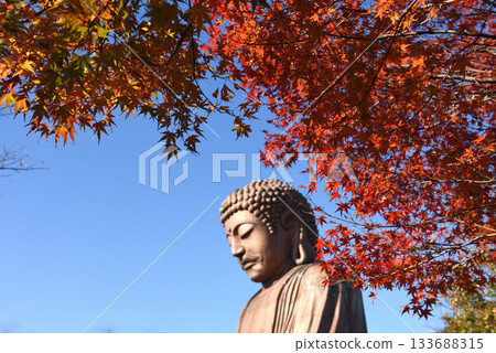 Great Buddha and autumn leaves at Jurakuen Park in Tokai City Great Buddha and autumn leaves at Jurakuen Park in Tokai City 133688315