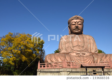 Great Buddha and autumn leaves at Jurakuen Park in Tokai City Great Buddha and autumn leaves at Jurakuen Park in Tokai City 133688316