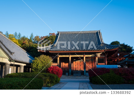 日本香川縣高松市屋島的秋景非常美麗。 日本香川縣高松市屋島的秋景非常美麗。 133688392