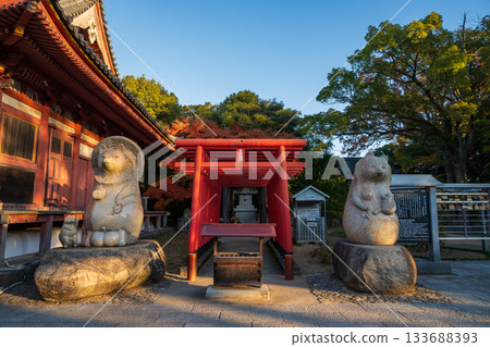 日本香川縣高松市屋島的秋景非常美麗。 日本香川縣高松市屋島的秋景非常美麗。 133688393