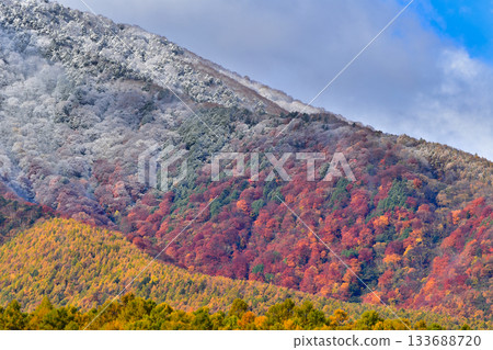 First snow on Mt. Iizuna and autumn leaves at the foot of the mountain 133688720