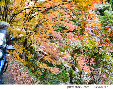 Okayama Gokei, autumn leaves Okayama Gokei, autumn leaves 133689130