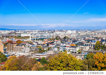 東京郊區住宅區的秋景 133689134