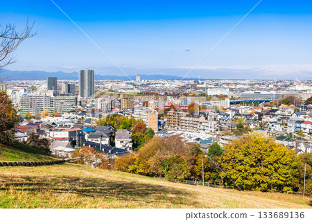 東京郊區住宅區的秋景 133689136