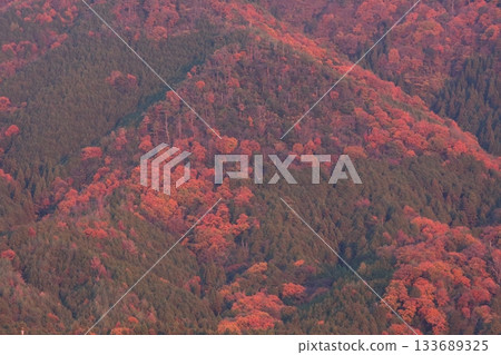 A mountain that turned red leaves 133689325