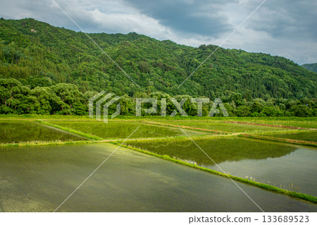 Rice fields and deep green mountains in Minamiaizu town in early summer 133689523