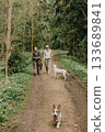 Professional dog walker. woman trains feeds dogs in forest. Dogs of different breeds. 133689841