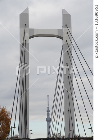 Skytree across the bridge 133690953