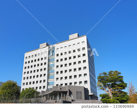 Mobara City Hall 133690989