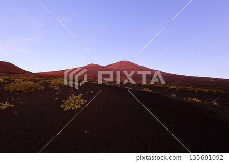 清晨從禦殿場步道看到的紅富士山。 清晨從禦殿場步道看到的紅富士山。 133691092