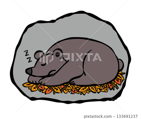 Bear hibernating in its den Bear hibernating in its den 133691237