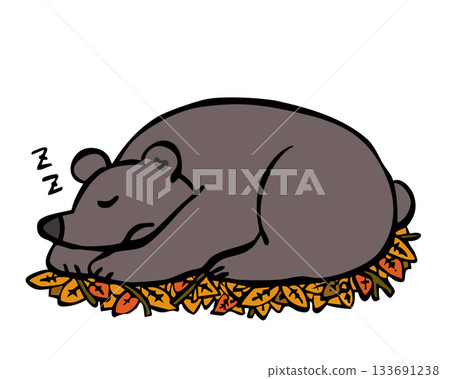 冬眠的熊 133691238